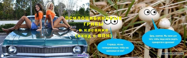 эйфоретик Армянск