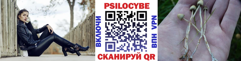 наркошоп  Белинский  Псилоцибиновые грибы мицелий 